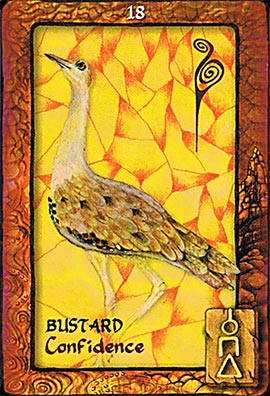 Animal Dreaming Oracle Cards - Image 3