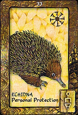 Animal Dreaming Oracle Cards - Image 4