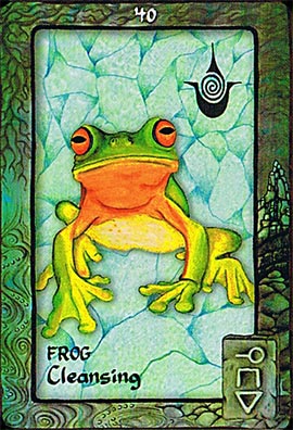 Animal Dreaming Oracle Cards - Image 5
