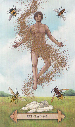 Bee Tarot - Image 3