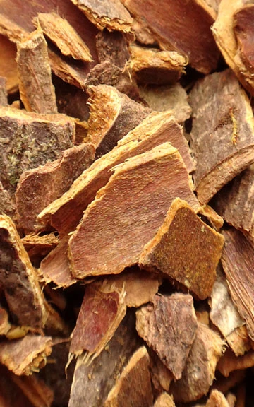 Cascara Sagrada Raw Herb - 1 oz.