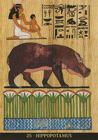 Egyptian Sacred Animals Oracle - Image 5