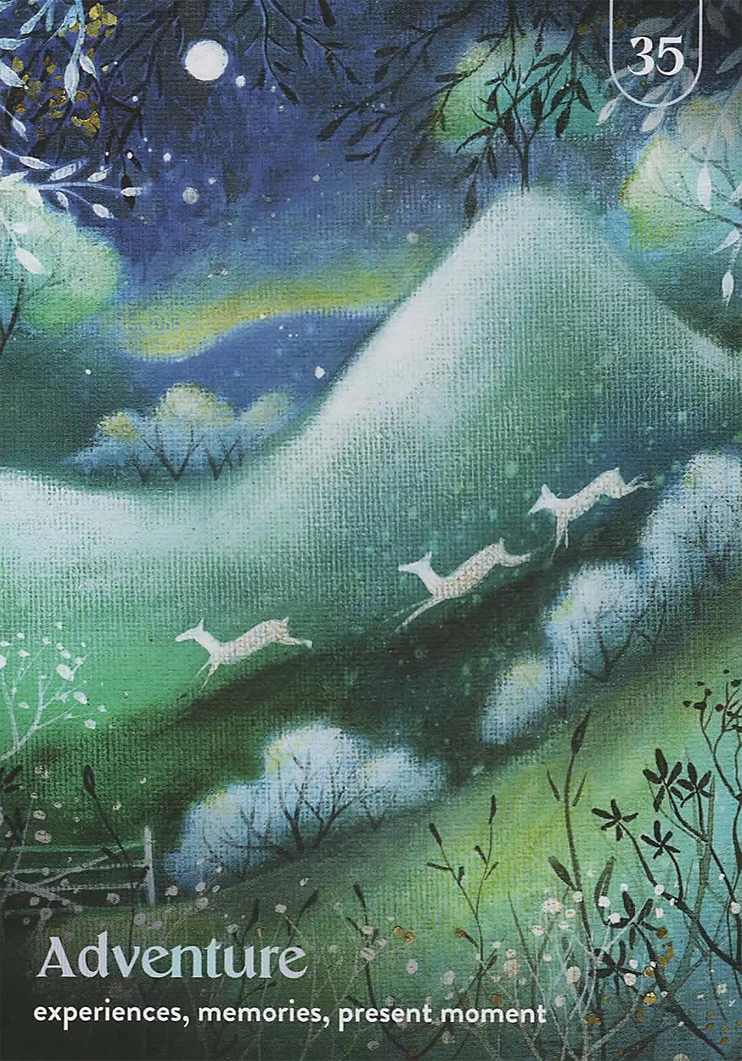 Enchanted Earth Oracle - Image 5
