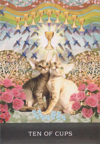 Grimalkins Curious Cats Tarot - Image 4