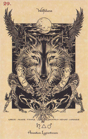 Magickal Botanical Oracle - Image 5
