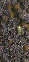 Ptah Incense - 1 oz