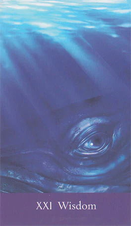 Sacred She Tarot - Image 3