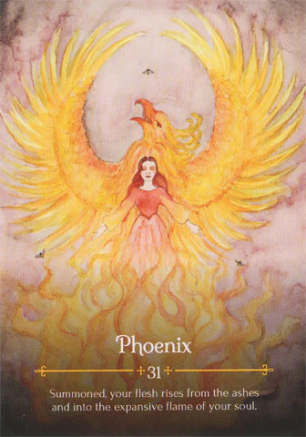 Seasons of the Witch Beltane Oracle - Image 4