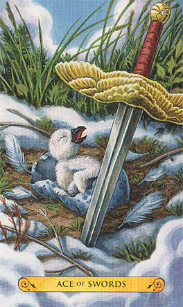 Tarot of the Owls - Image 4