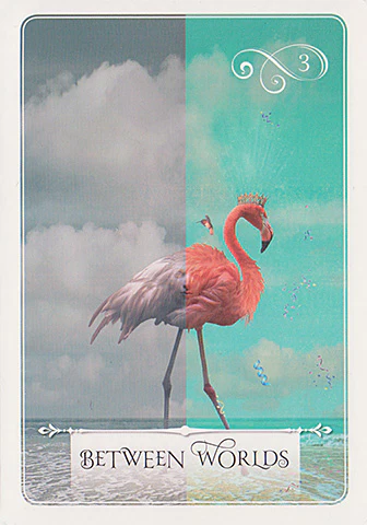 Wisdom of the Oracle Divination Cards - Image 3